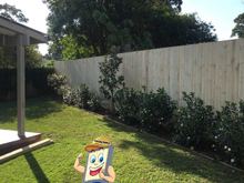 Supply and Installation of Timber Fencing