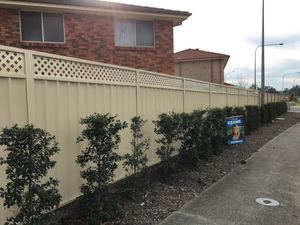Colorbond Fence with 300mm Lattice Inserts