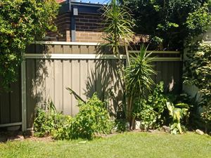 Colorbond Fence Height Extension with Colorbond Sheeting