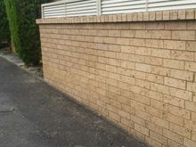 Louvre Colorbond Fence Insert 250mm or 550mm