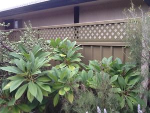 300mm Lattice Fence Extension