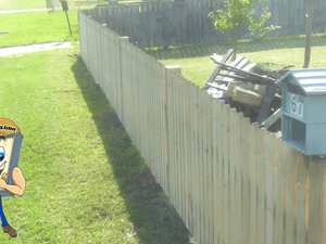 Treated pine picket fencing we built